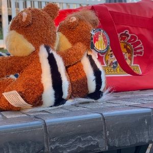 🏰🐿️  VINTAGE Disney Chip’N Dale Rescue Rangers 14” Zipper Duffle w/ Plushies!!